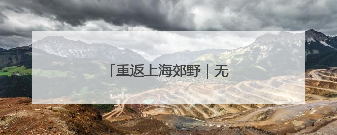 重返上海郊野｜无斑雨蛙“回乡记”