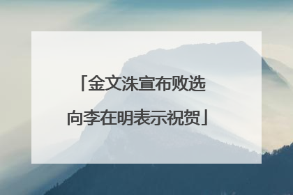 金文洙宣布败选 向李在明表示祝贺