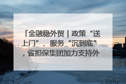 金融稳外贸｜政策“送上门”、服务“沉到底”，省担保集团加力支持外经贸高质量发展