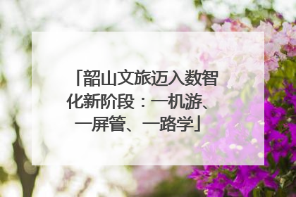 韶山文旅迈入数智化新阶段：一机游、一屏管、一路学
