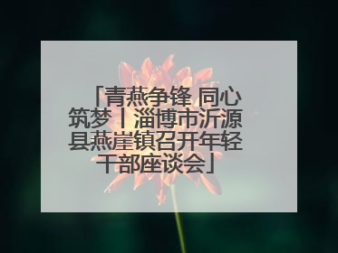 青燕争锋 同心筑梦丨淄博市沂源县燕崖镇召开年轻干部座谈会