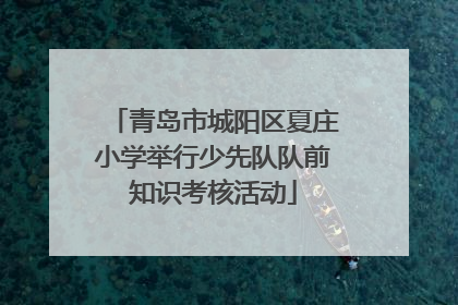 青岛市城阳区夏庄小学举行少先队队前知识考核活动