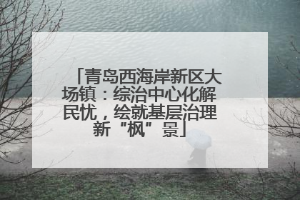 青岛西海岸新区大场镇：综治中心化解民忧，绘就基层治理新“枫”景