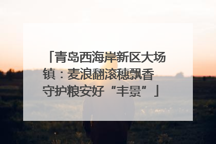 青岛西海岸新区大场镇：麦浪翻滚穗飘香 守护粮安好“丰景”