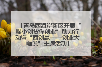 青岛西海岸新区开展“喵小创贷你创业”助力行动暨“西创赢——创业大咖说”主题活动