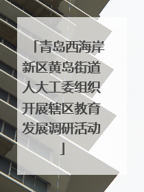 青岛西海岸新区黄岛街道人大工委组织开展辖区教育发展调研活动