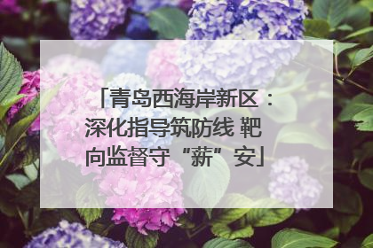 青岛西海岸新区：深化指导筑防线 靶向监督守“薪”安
