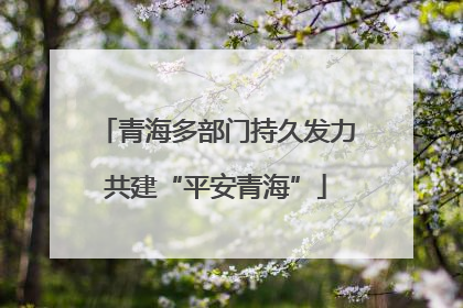 青海多部门持久发力共建“平安青海”