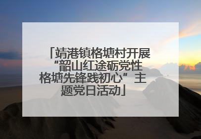 靖港镇格塘村开展“韶山红途砺党性 格塘先锋践初心”主题党日活动
