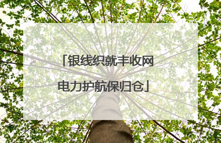 银线织就丰收网 电力护航保归仓