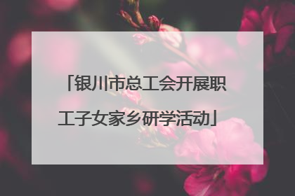 银川市总工会开展职工子女家乡研学活动