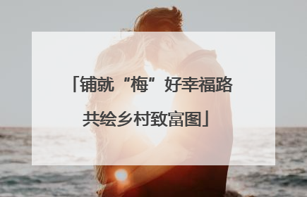 铺就“梅”好幸福路 共绘乡村致富图