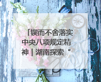 锲而不舍落实中央八项规定精神｜湖南探索“无扰督查”深化基层减负