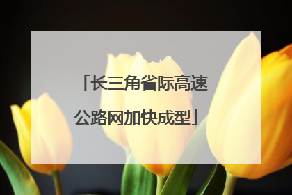 长三角省际高速公路网加快成型