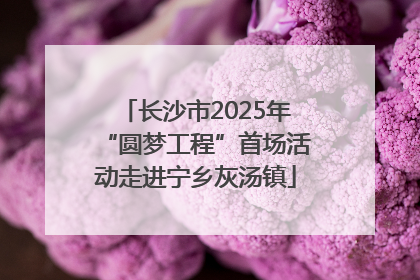 长沙市2025年“圆梦工程”首场活动走进宁乡灰汤镇