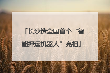 长沙造全国首个“智能押运机器人”亮相