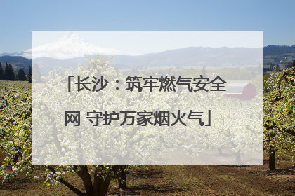 长沙：筑牢燃气安全网 守护万家烟火气