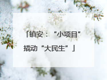镇安：“小项目”撬动“大民生”
