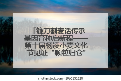 镰刀割麦话传承 基因育种启新程——第十届杨凌小麦文化节见证“颗粒归仓”时空跨越