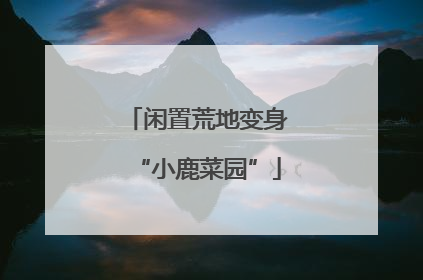 闲置荒地变身“小鹿菜园”