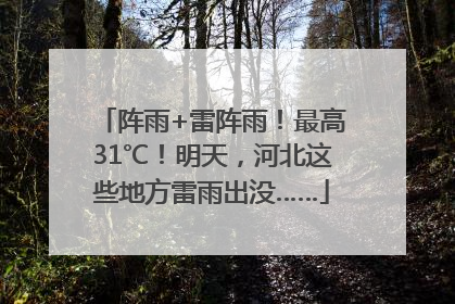 阵雨+雷阵雨！最高31℃！明天，河北这些地方雷雨出没……