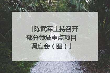 陈武军主持召开部分领域重点项目调度会（图）