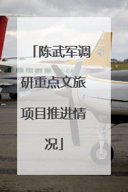 陈武军调研重点文旅项目推进情况