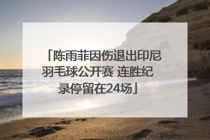 陈雨菲因伤退出印尼羽毛球公开赛 连胜纪录停留在24场