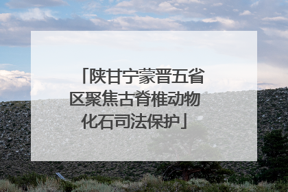 陕甘宁蒙晋五省区聚焦古脊椎动物化石司法保护