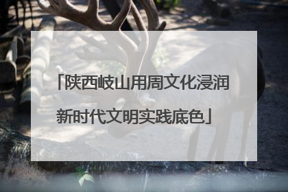 陕西岐山用周文化浸润新时代文明实践底色