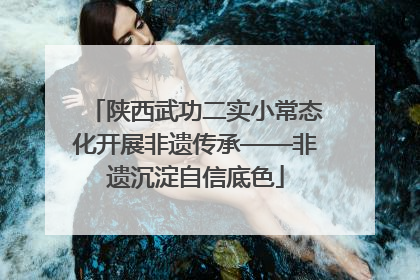 陕西武功二实小常态化开展非遗传承——非遗沉淀自信底色