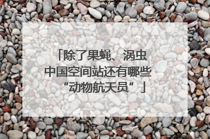 除了果蝇、涡虫 中国空间站还有哪些“动物航天员”