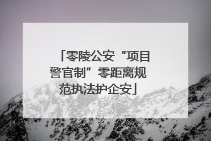 零陵公安“项目警官制”零距离规范执法护企安