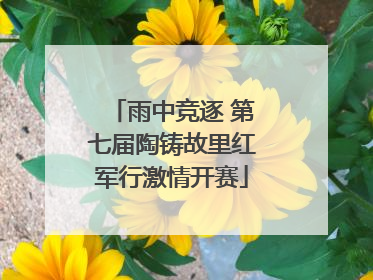 雨中竞逐 第七届陶铸故里红军行激情开赛