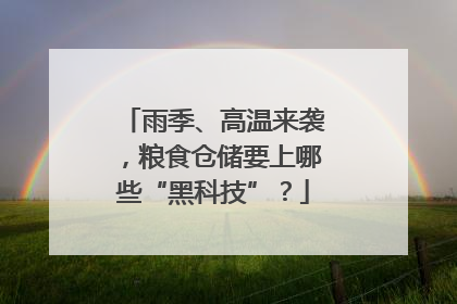 雨季、高温来袭，粮食仓储要上哪些“黑科技”？