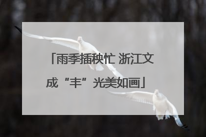 雨季插秧忙 浙江文成“丰”光美如画