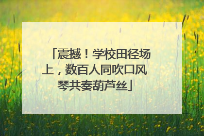 震撼！学校田径场上，数百人同吹口风琴共奏葫芦丝