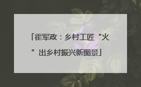 霍军政：乡村工匠“火”出乡村振兴新图景