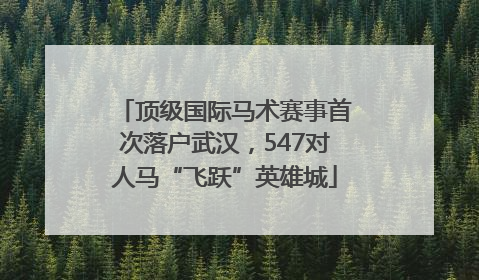 顶级国际马术赛事首次落户武汉，547对人马“飞跃”英雄城