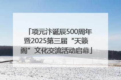 项元汴诞辰500周年暨2025第三届“天籁阁”文化交流活动启幕