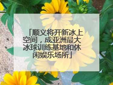 顺义将开新冰上空间，成亚洲最大冰球训练基地和休闲娱乐场所