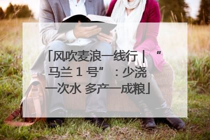 风吹麦浪一线行｜“马兰 1 号”：少浇一次水 多产一成粮