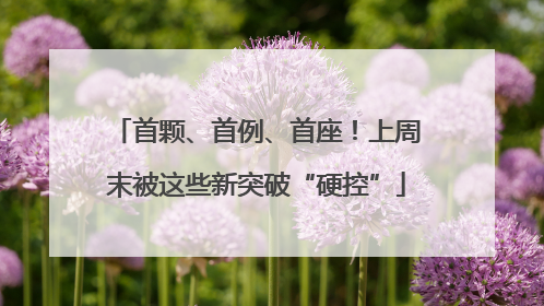 首颗、首例、首座！上周末被这些新突破“硬控”