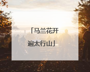马兰花开遍太行山