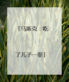 马斯克：吃了儿子一拳