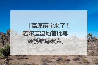高原萌宝来了！若尔盖湿地首批黑颈鹤雏鸟破壳