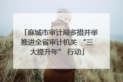 麻城市审计局多措并举推进全省审计机关 “三大提升年” 行动