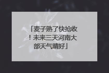 麦子熟了快抢收！未来三天河南大部天气晴好