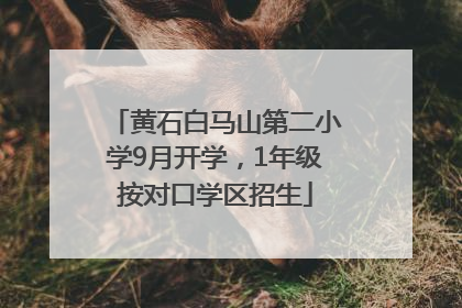 黄石白马山第二小学9月开学，1年级按对口学区招生