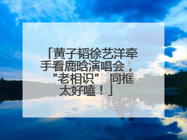 黄子韬徐艺洋牵手看鹿晗演唱会，“老相识” 同框太好嗑！